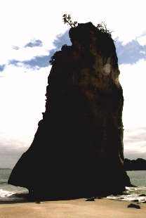 Cathedral Cove