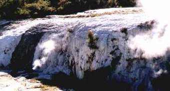 Orakei Karako