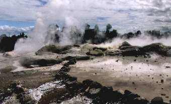 Whakapapa